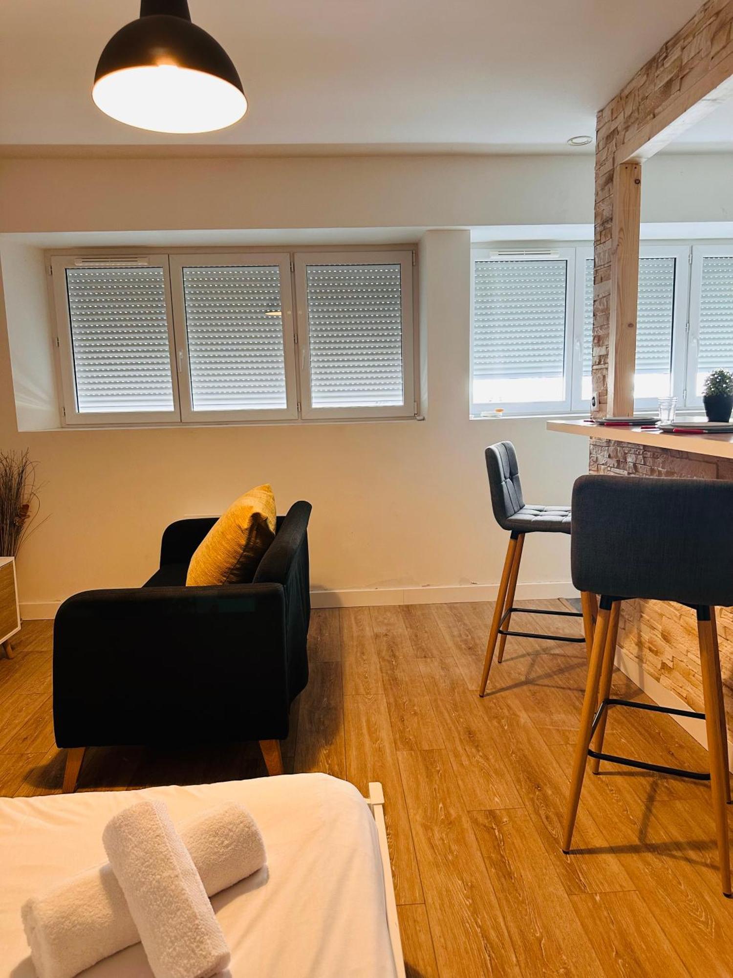 Apartment Cosy Proche De Toutes Les Commodites Orleans